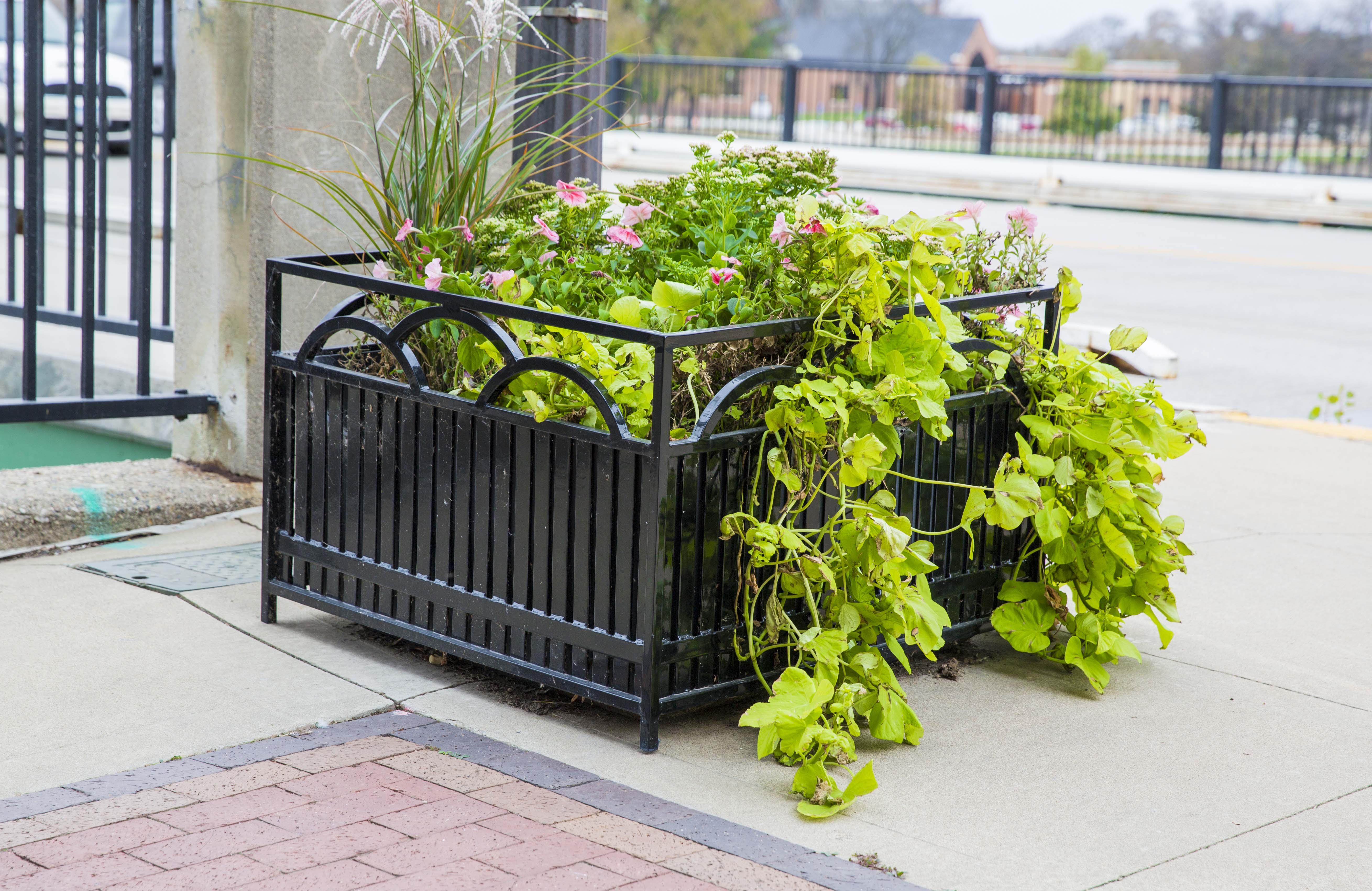 Do Planters Need Drain Holes Best Drain Photos